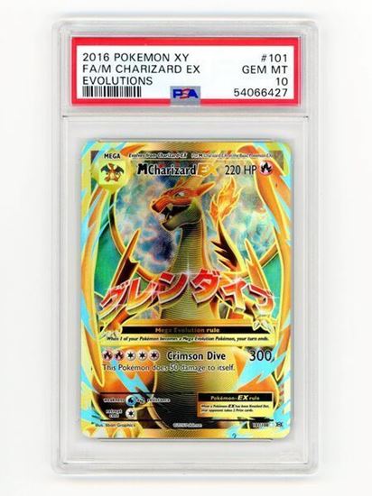 Immagine di Charizard EX 101/108 PSA 10 GEM MT