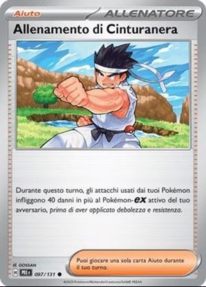 Immagine di Allenamento Di Cinturanera 097-131 Poke Ball (IT) – NEAR MINT