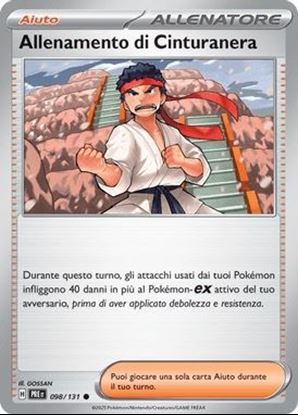 Immagine di Allenamento Di Cinturanera 098-131 Poke Ball (IT) – NEAR MINT