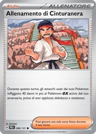 Immagine di Allenamento Di Cinturanera 098-131 Poke Ball (IT) – NEAR MINT