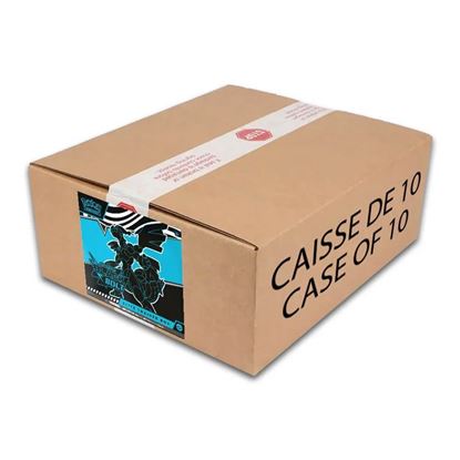 Immagine di Pokemon Black Bolt - Elite Trainer Box - Case sealed x 10 (ENG)